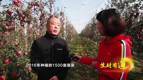 生财有道 《生财有道》 20191114 咱们家乡有特产 甘肃崇信：家住塬上 特产生财