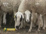生财有道 《生财有道》 20170410 话说获得感系列——青山绿水中的“羊”财富