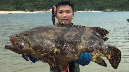 赶海阿镭 潜水发现一道阴影掠过，是什么？