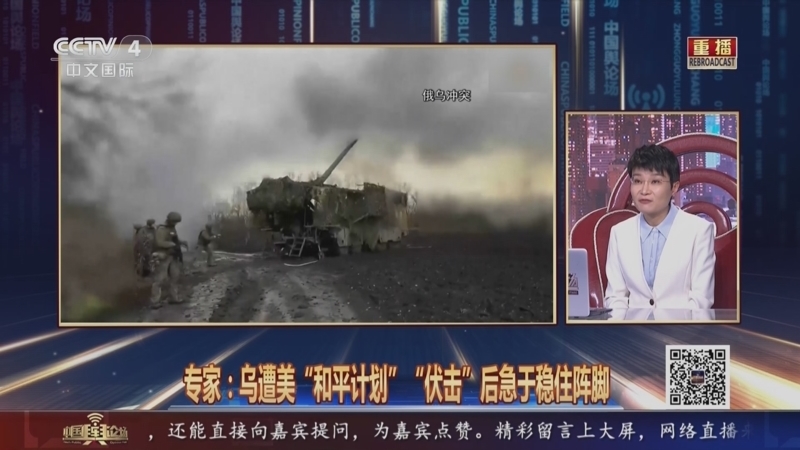 《中国舆论场》 20251130