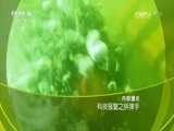 走近科学 《走近科学》 20160803 科技强警之拆弹手