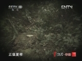 地理中国 《地理中国》 20121030 探秘七百弄