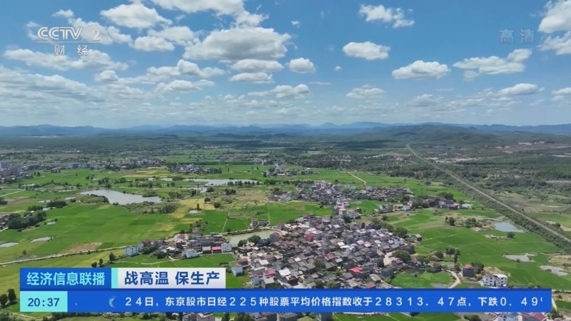 经济信息联播 《经济信息联播》 20220824