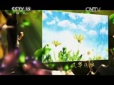 风华国乐 《风华国乐》 20150405 清明特辑·春的记忆