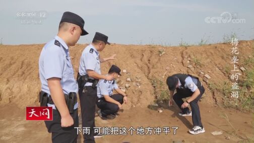 天网 《天网》 20200819 梅花垄上的盗洞
