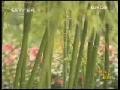 晚间新闻 CCTV-新闻 晚间新闻 2009-02-13