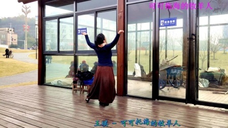 形体舞《可可拖海的牧羊人》王琪神曲，又柔美又心醉