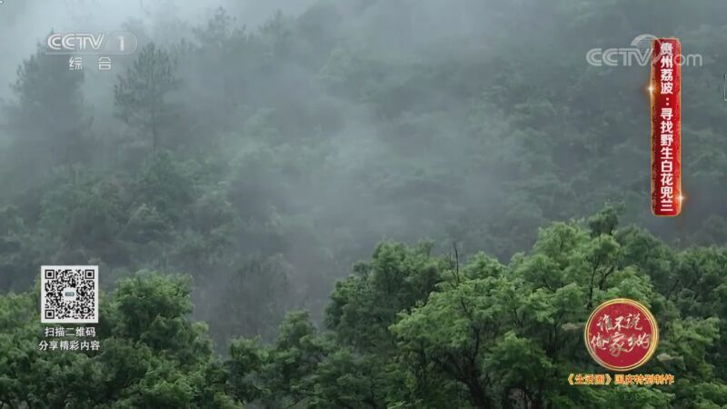 生活圈 《生活圈》 20201005
