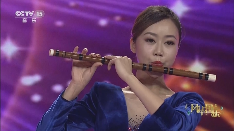 风华国乐 《风华国乐》 20231008