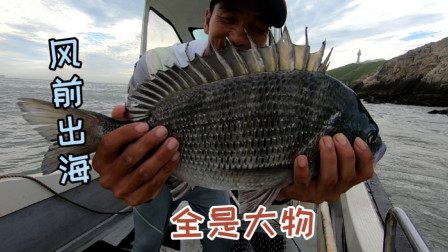 阿杰赶风前出海，20多公分的大虾被大物一口闷，这是饿疯了吗