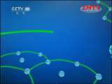 健康之路 《健康之路》 20111124 急救大考验——地震避险