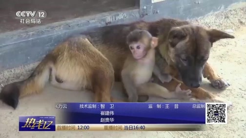 热线12 《热线12》 20190909