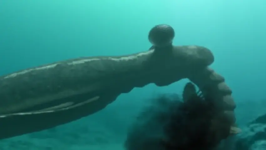 《与猛兽同行》第1集