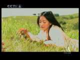 中国电影报道 中国电影报道 2010年 第12期