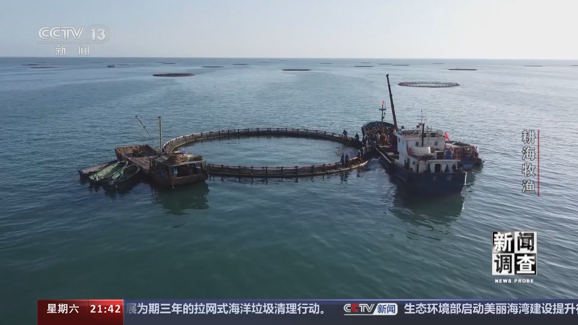 新闻调查 《新闻调查》 20240608 耕海牧渔
