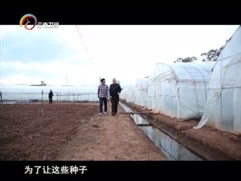 情暖人间 《情暖人间》 20160215 筑梦云南影像志 耕耘在异国的田野上