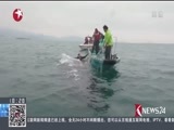 东方新闻 《东方新闻》 20170315