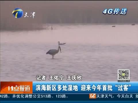 12点报道 《12点报道》 20150302
