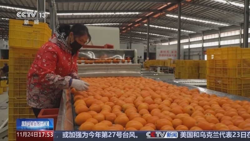 新闻直播间 《新闻直播间》 20251124 17:00