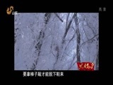 共产党员 《共产党员》 20170825