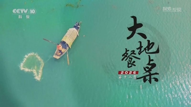 探索发现 《探索·发现》 20260223 大地餐桌2026（12）
