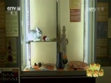 新闻袋袋裤 《新闻袋袋裤》 20170515