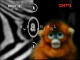 动物世界 《动物世界》 20110913