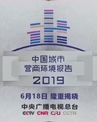 中国城市营商环境报告2019