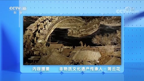人物&middot;故事 《人物·故事》 20200608 非物质文化遗产传承人·蒋云花
