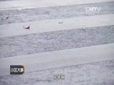 小区大事 《小区大事》 20151212 谁的错