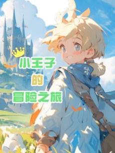 小王子的冒险之旅