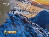 消费主张 《消费主张》 20160219 岁末年初看消费——畅游天下