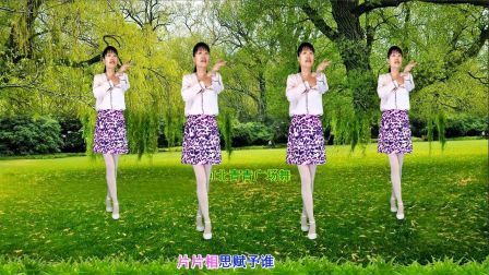 流行DJ广场舞及教学 第三季 唯美广场舞《片片相思赋予谁》64步附分解