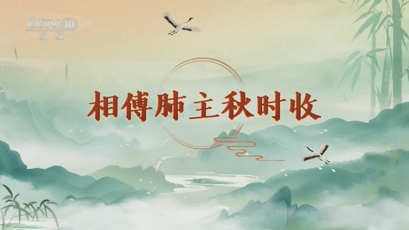 百家讲坛 《百家讲坛》 20260321 延年益寿话养生（第二部）7 相傅肺主秋时收