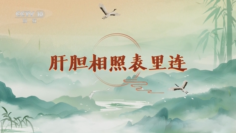 百家讲坛 《百家讲坛》 20250311 延年益寿话养生（第一部） 10 肝胆相照表里连