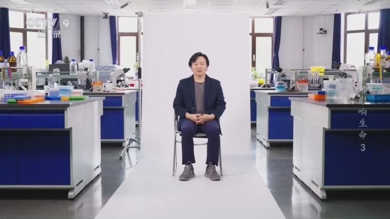 《生命如何影响生命》 第3集