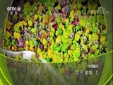 地理中国 《地理中国》 20171207 巨石谜城（上）