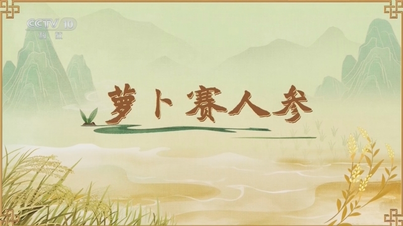 百家讲坛 《百家讲坛》 20260625 食物的历史（第二部） 6 萝卜赛人参
