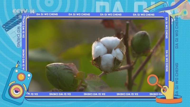动感特区 《动感特区》 20250313 大器我成