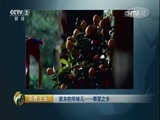 消费主张 《消费主张》 20170120 家乡的年味儿——粤菜之乡