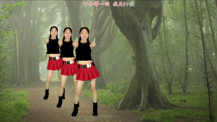 动感时尚广场舞 高效减脂健身操《千年等一回》 动感节奏百听不厌
