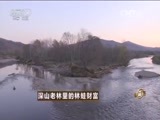 致富经 《致富经》 20151217 深山老林里的林蛙财富