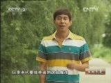 生财有道 《生财有道》 20121203 老代养狐致富记