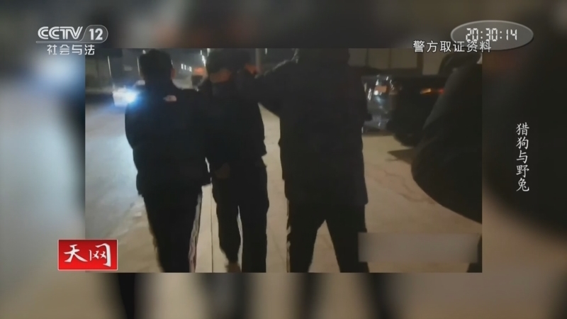 天网 《天网》 20240814 猎狗与野兔