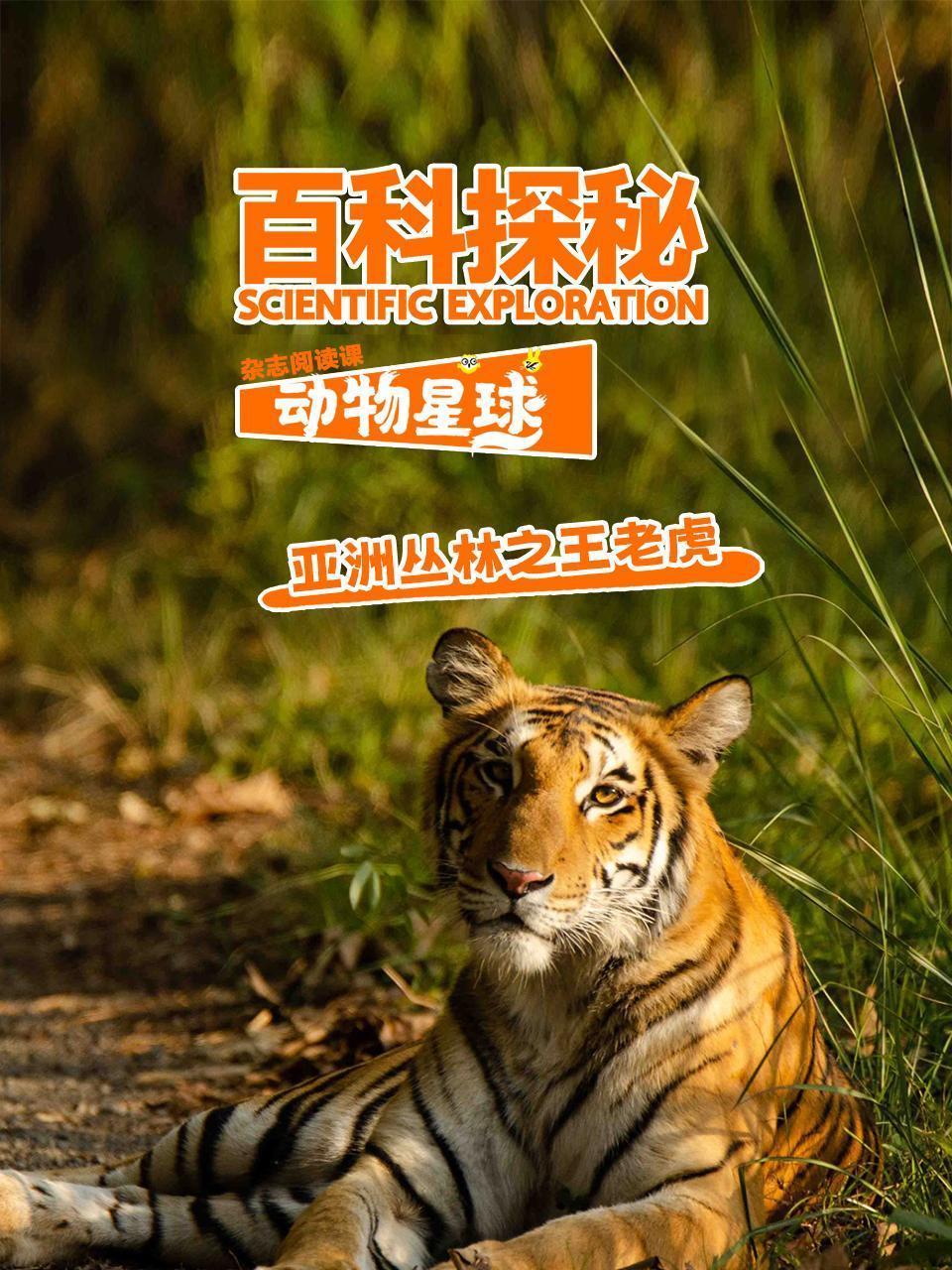 百科探秘动物星球：亚洲丛林之王老虎