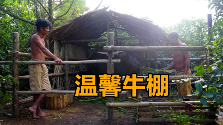 荒野建造者 第二季 村西头的老叔家牛棚塌了，兄弟热心帮助，牛都感动了!