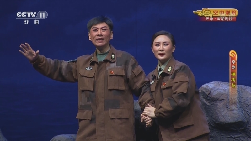 CCTV空中剧院 《CCTV空中剧院》 20220423 京剧《楝树花》