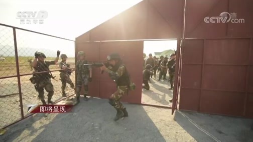 军事纪实 《军事纪实》 20191128 和平利剑 中外联合军事训练纪实