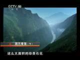 地理中国 洞穴奇观（下） 地理中国 2011年 第2期