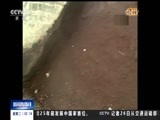 新闻直播间 《新闻直播间》 20161227 02:00